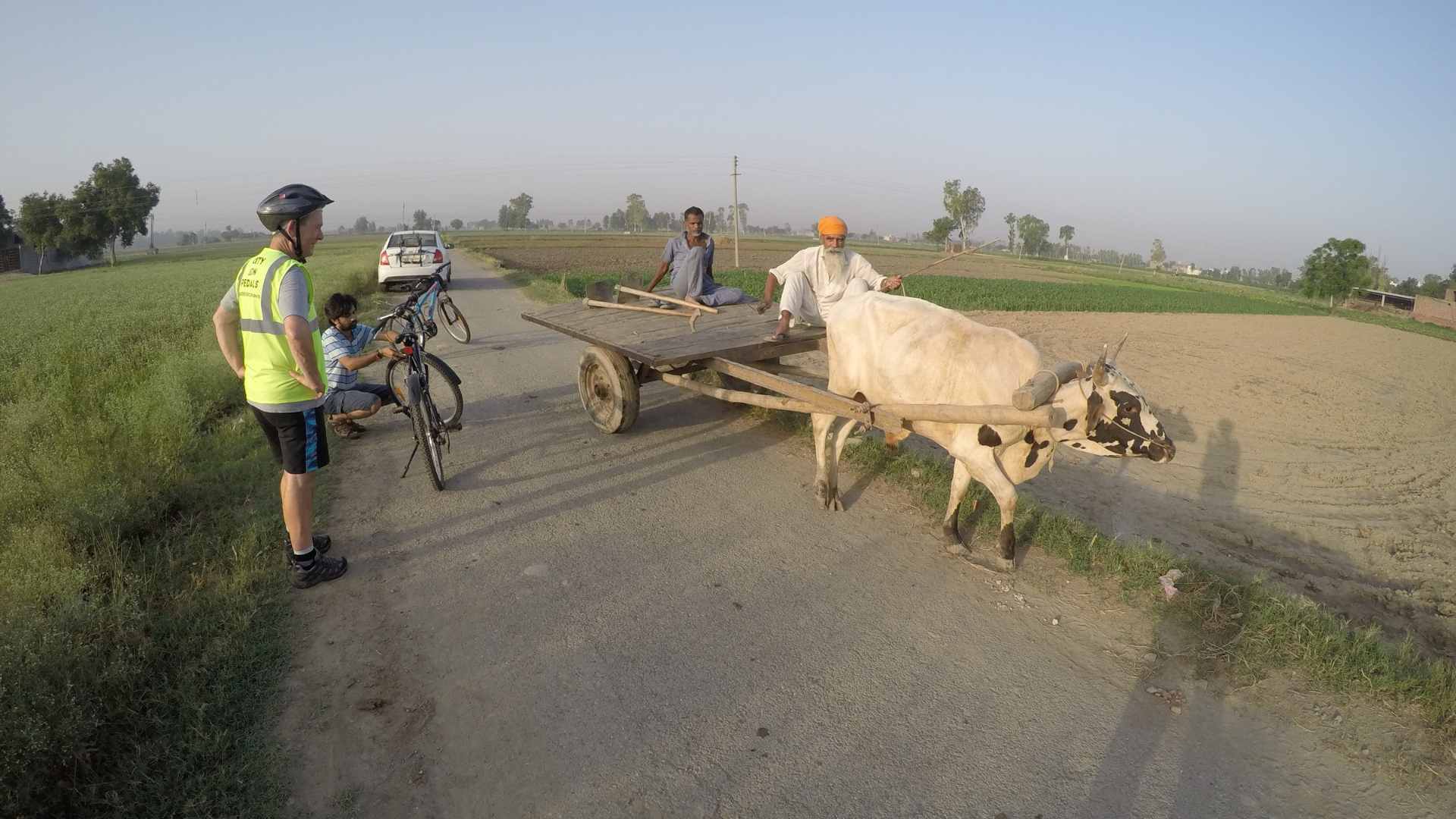 Bullock cart on the village roads