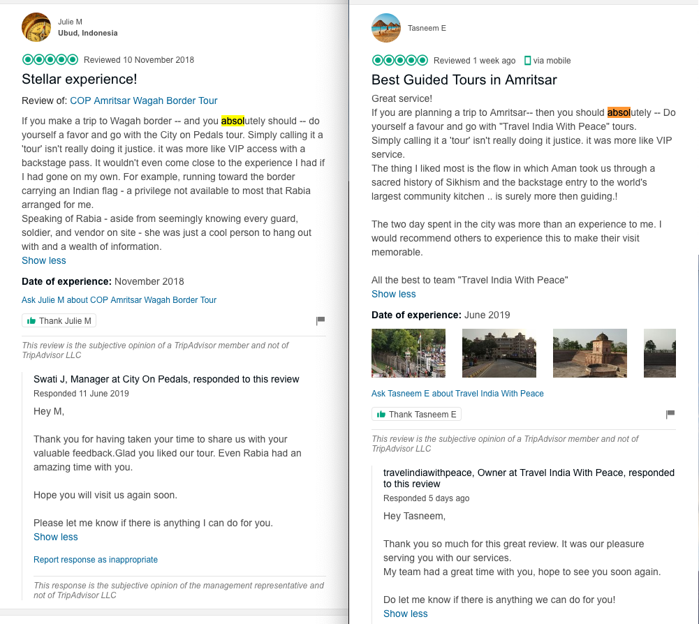 Fake reviews by Travel India With Peace